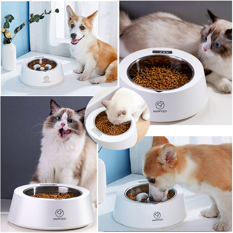 Smart Weighing Pet Slow Feeder